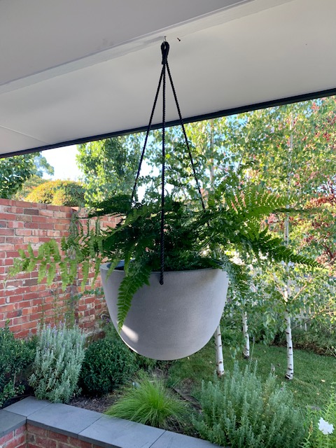 Hanging Basket Bonnie